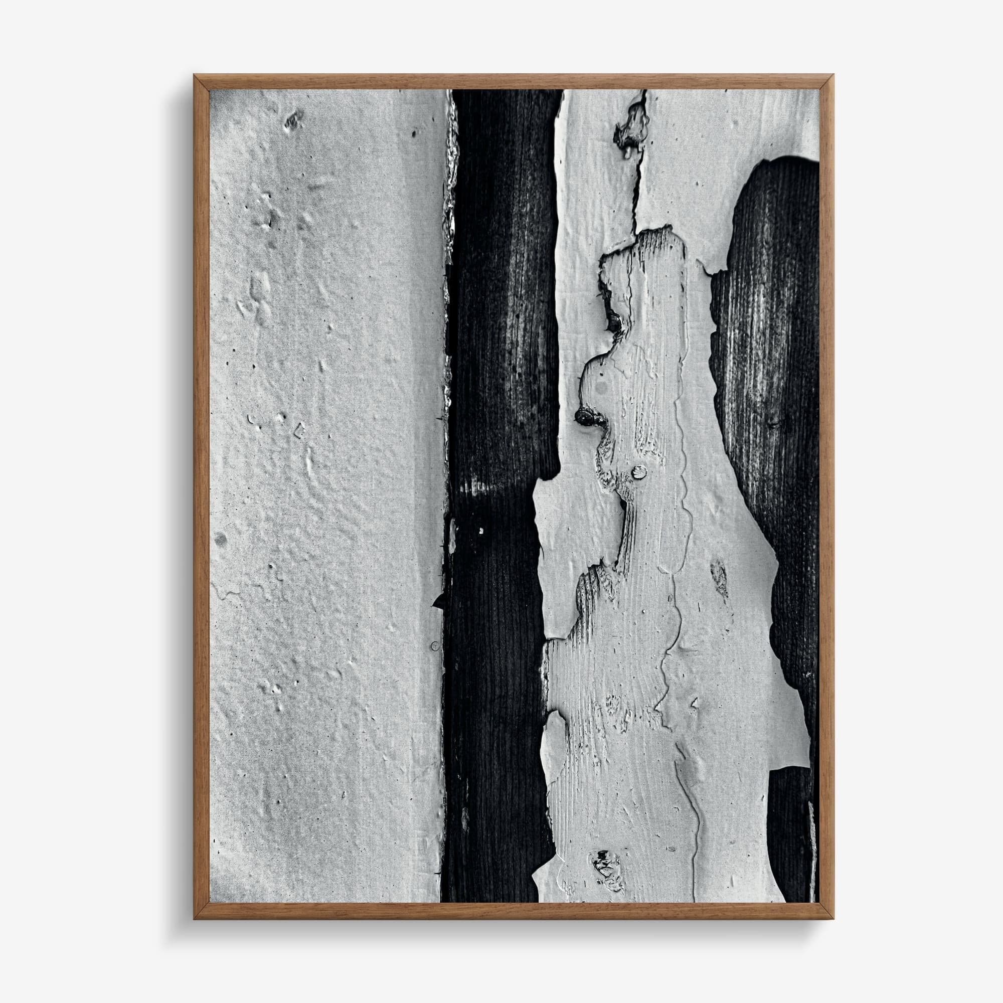 Weathered Bark Contrast