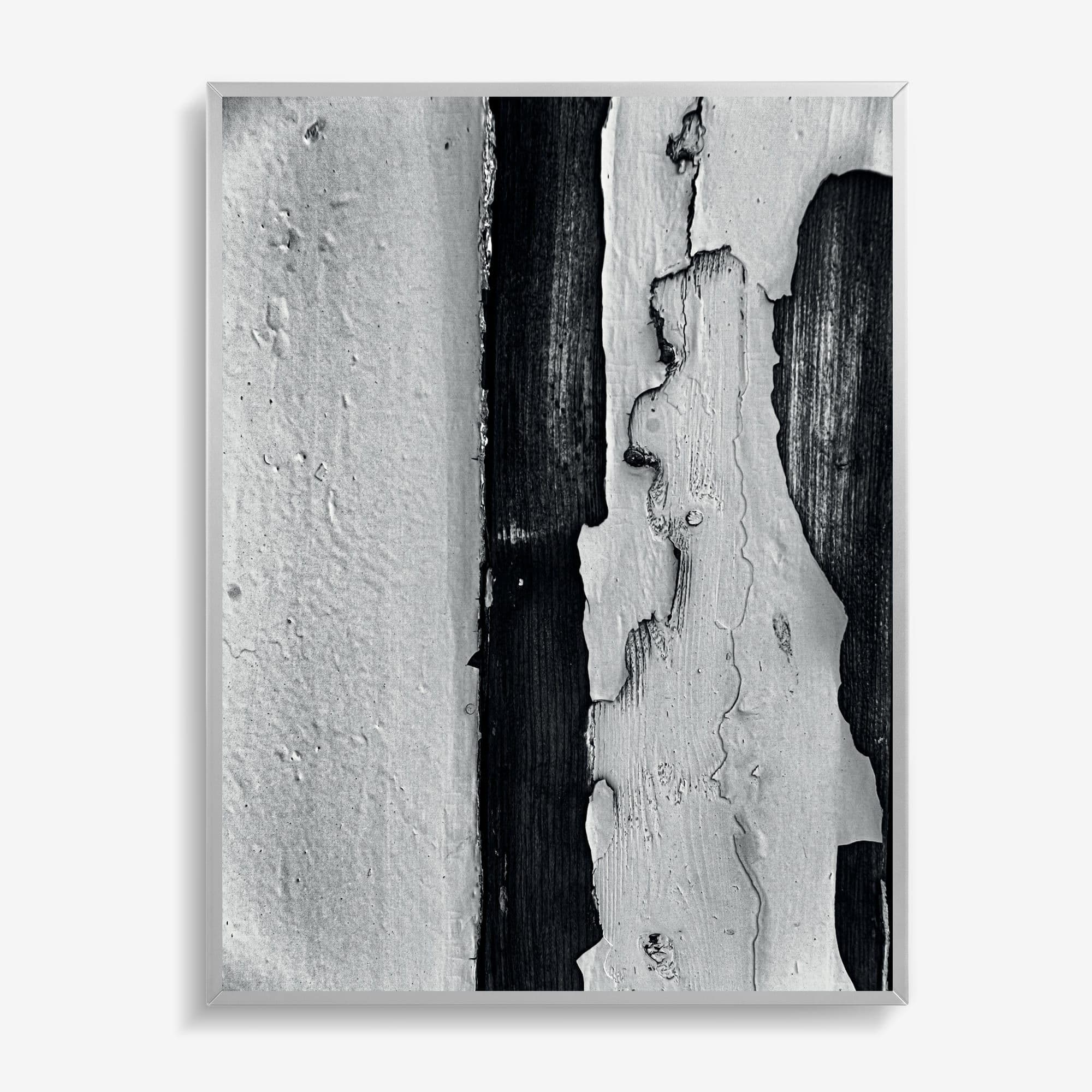 Weathered Bark Contrast