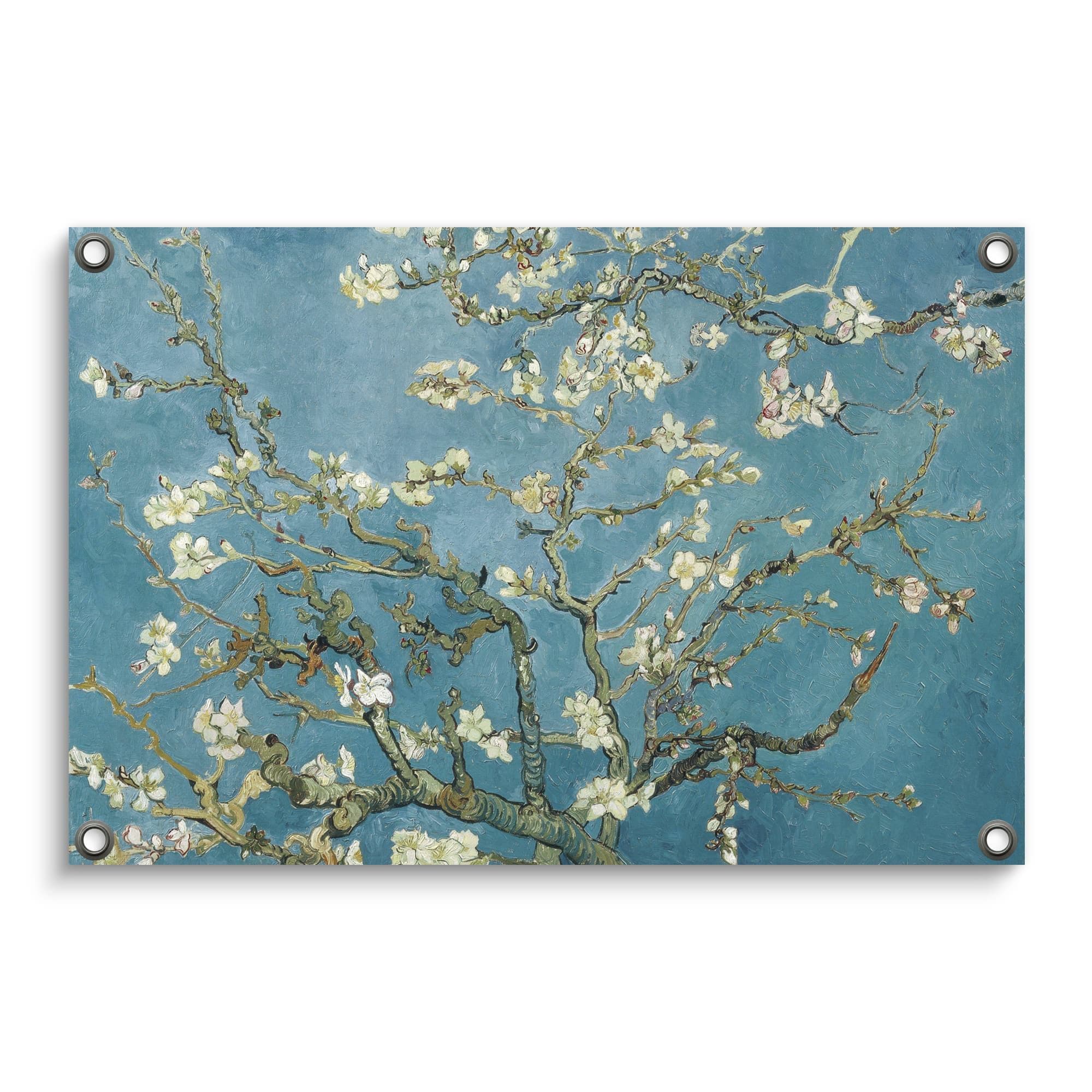 Amandelbloesem - Vincent van Gogh