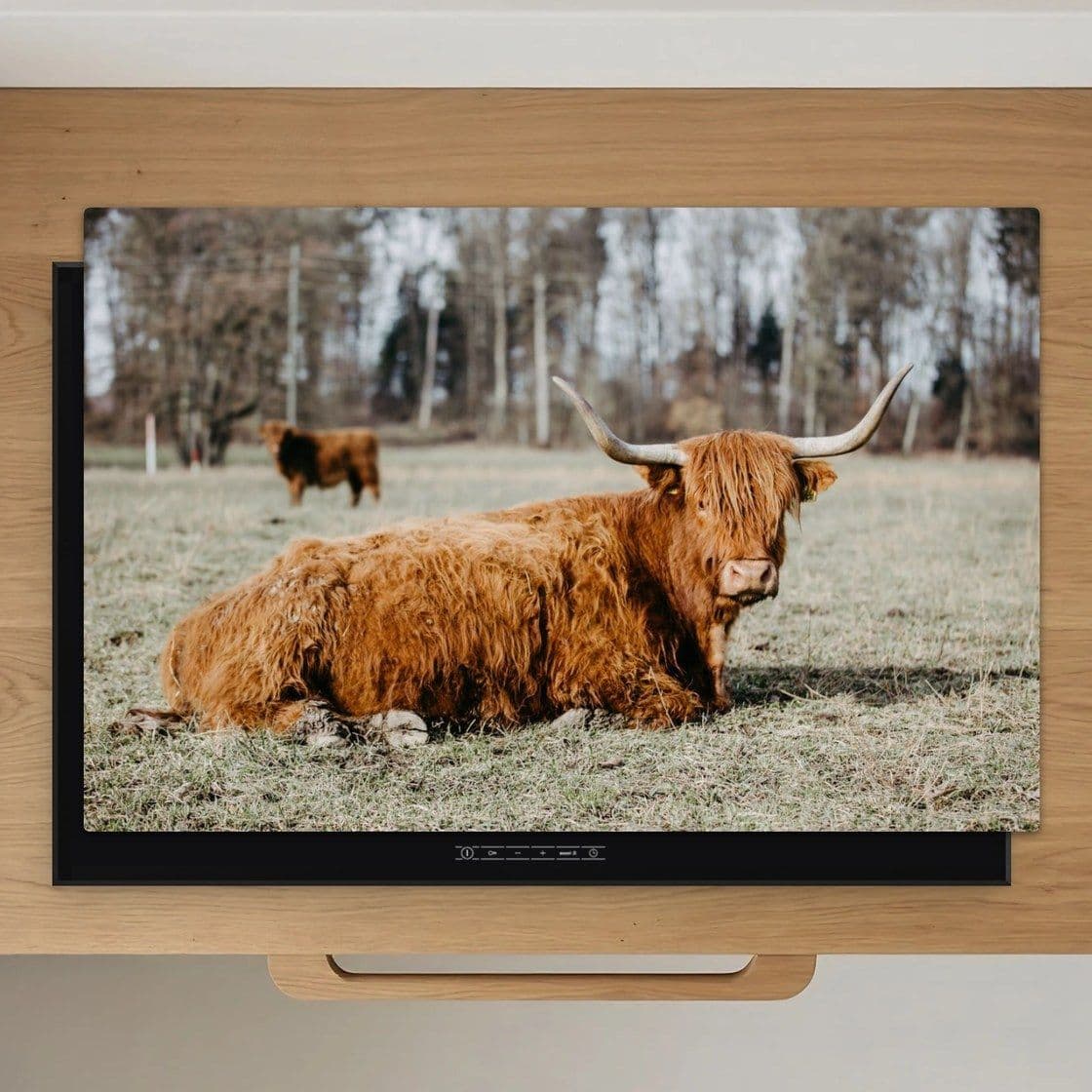Schotse Hooglander Rust Inductiebeschermer