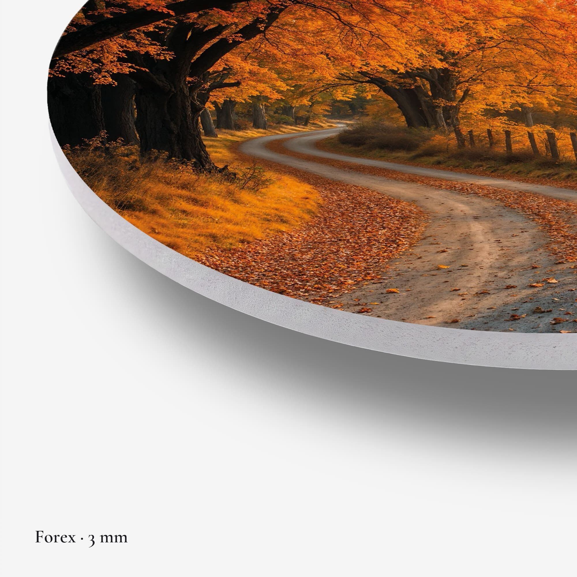 Autumn Curve Muurcirkel, detail rand forex