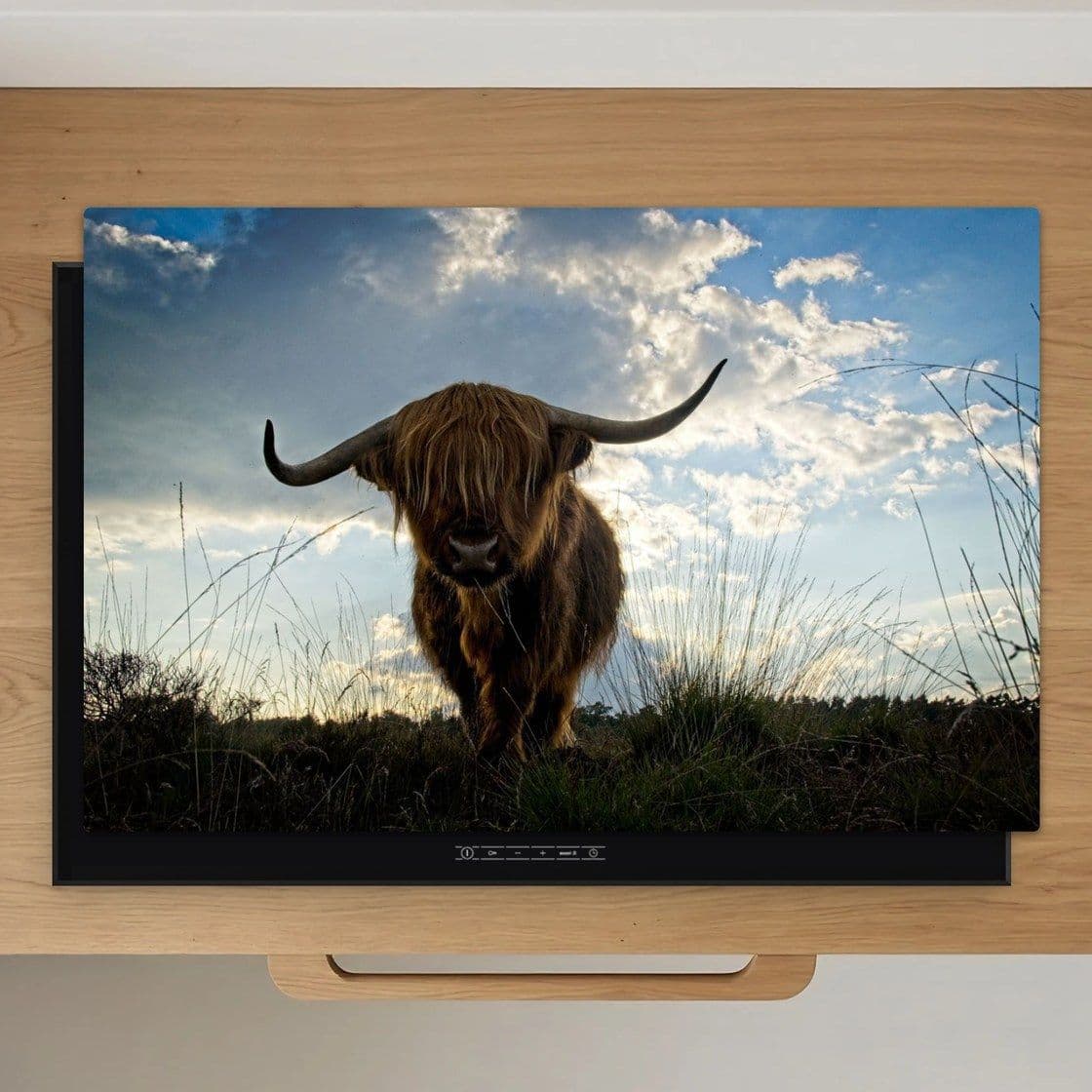 Schotse Hooglander Wild Inductiebeschermer