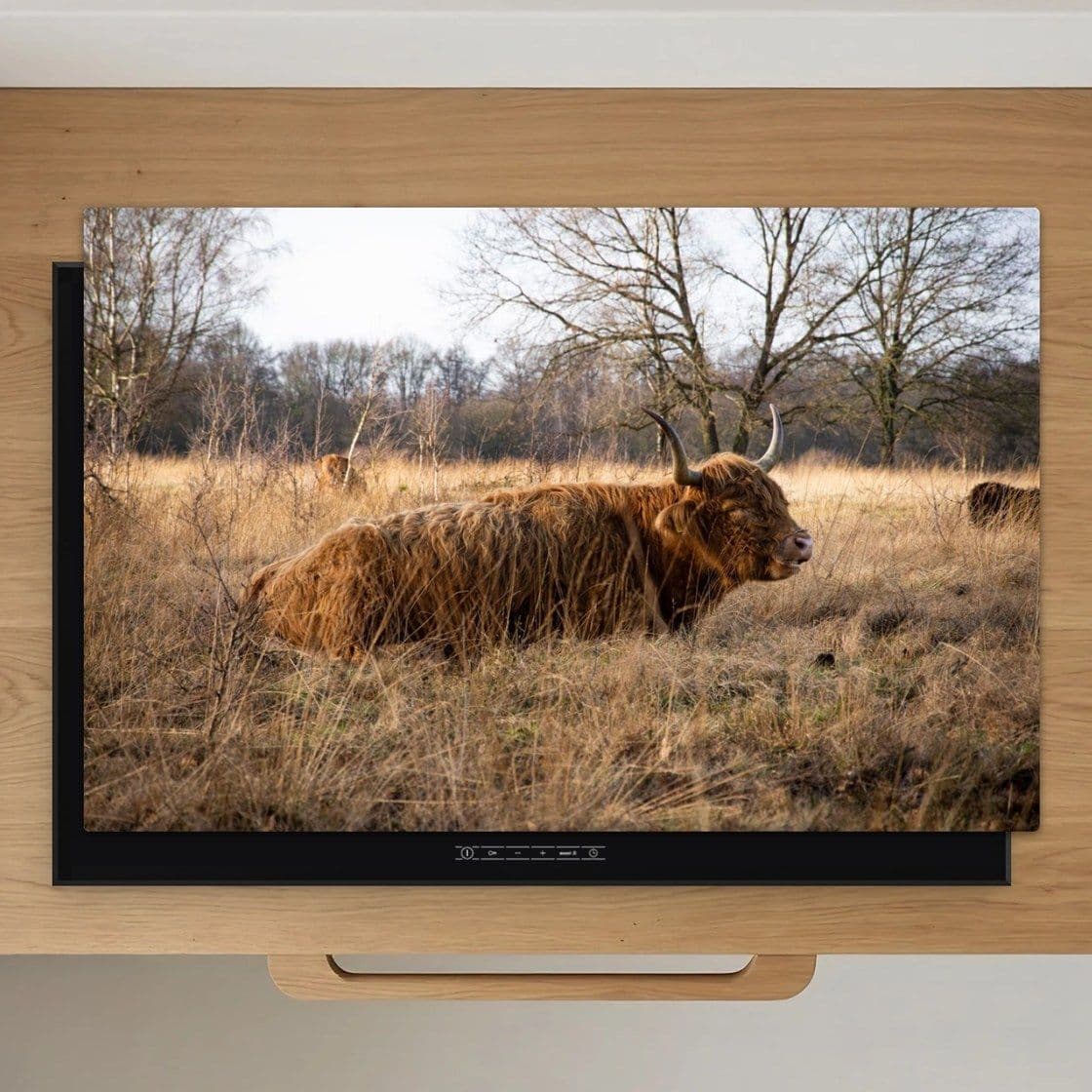 Schotse Hooglander Veld Inductiebeschermer