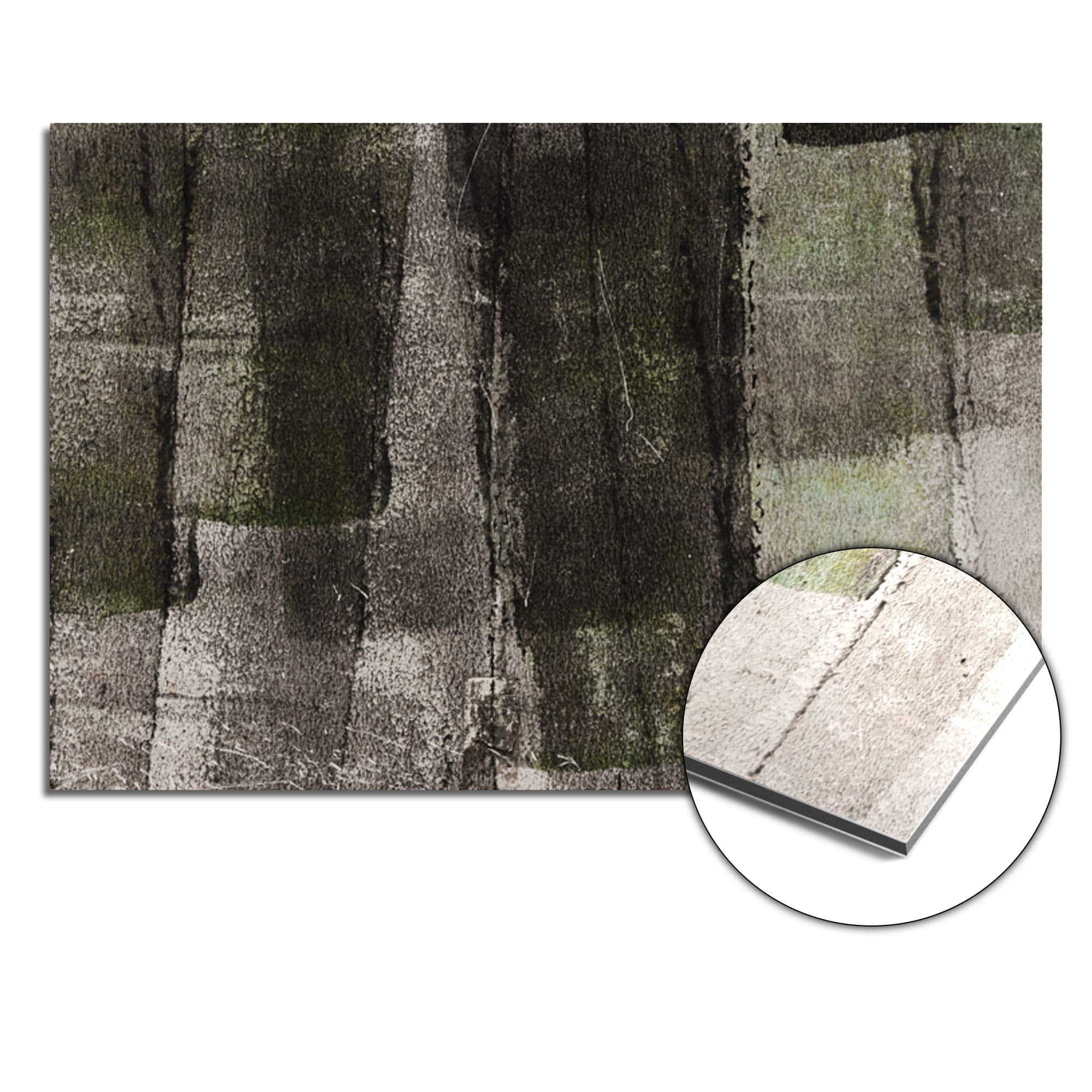 Concrete Moss Panel Spatscherm