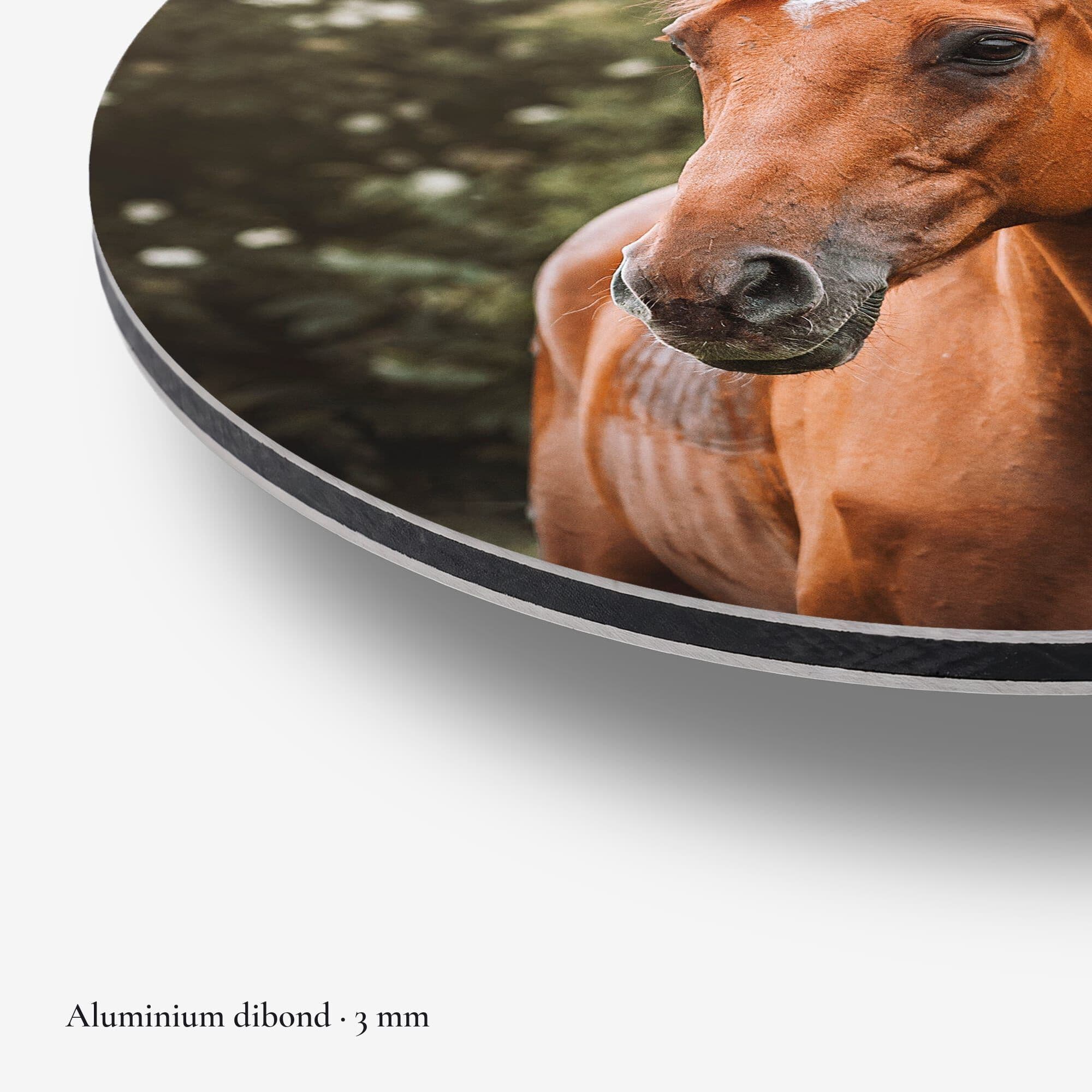 Amber Pride Muurcirkel, detail rand dibond