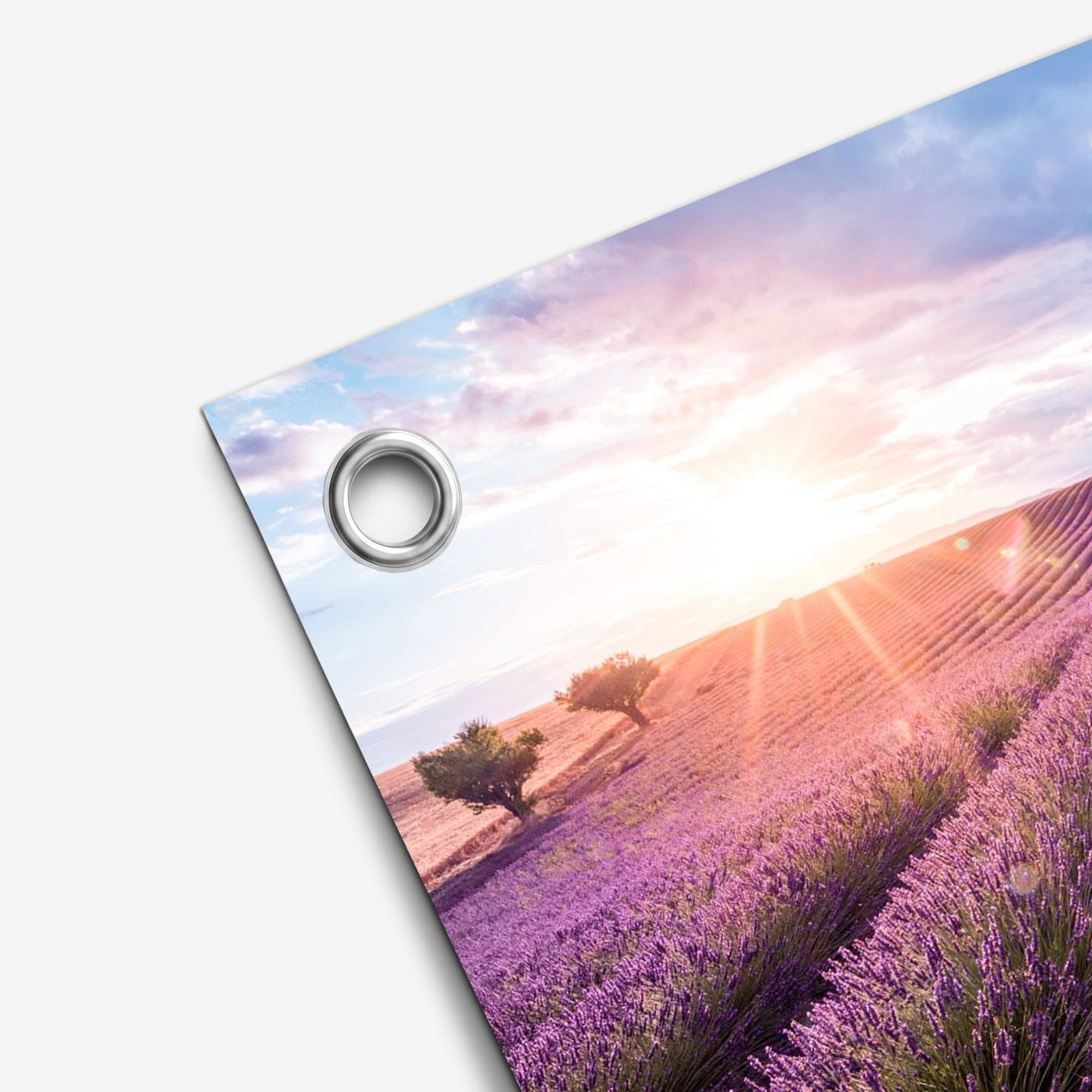 Lavender Field Sunset, detail hoek