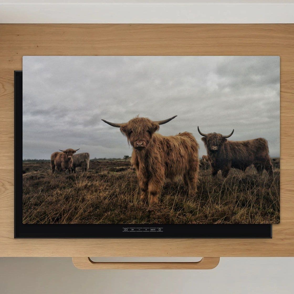 Schotse Hooglanders Mist Inductiebeschermer
