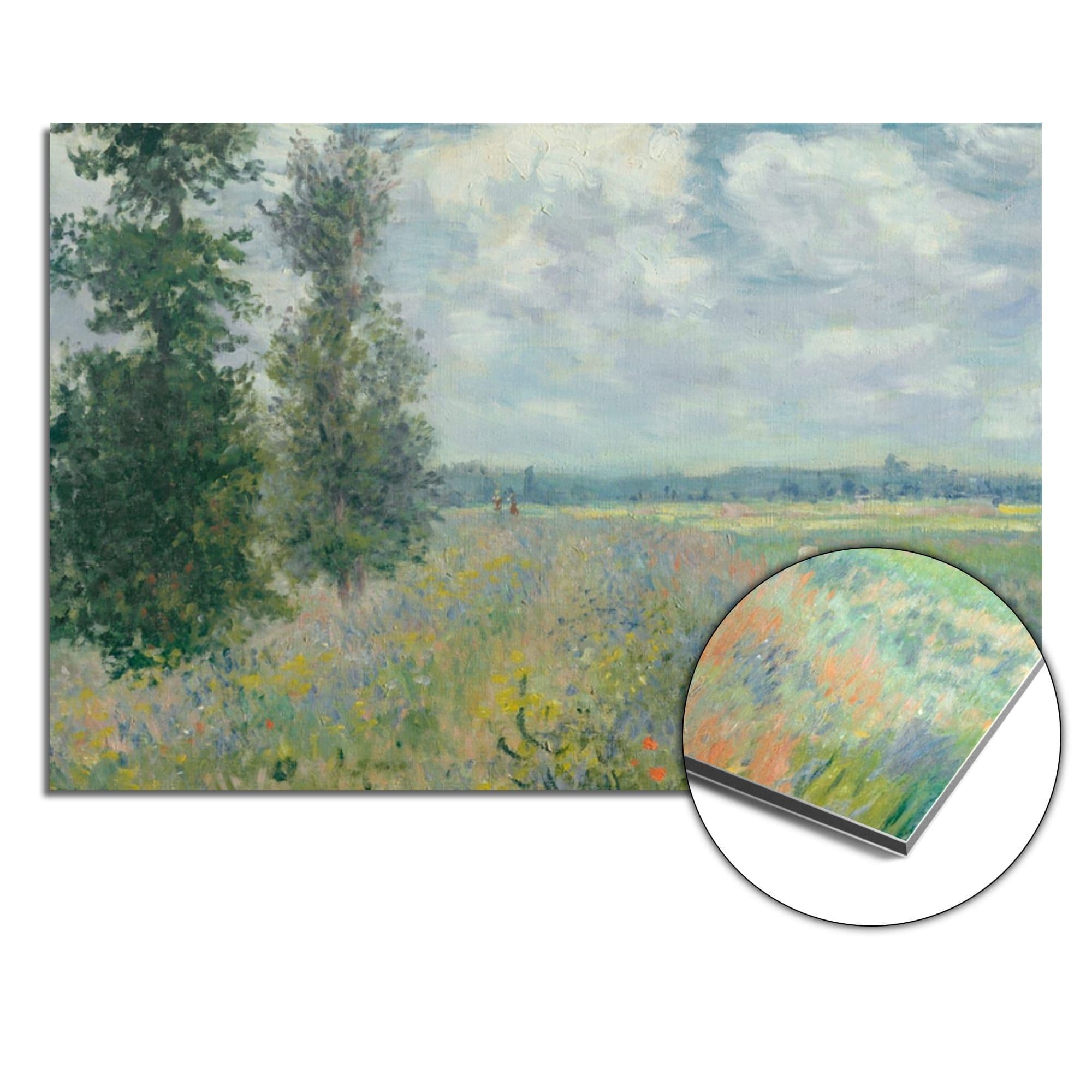 Poppy Field Impressionist Spatscherm